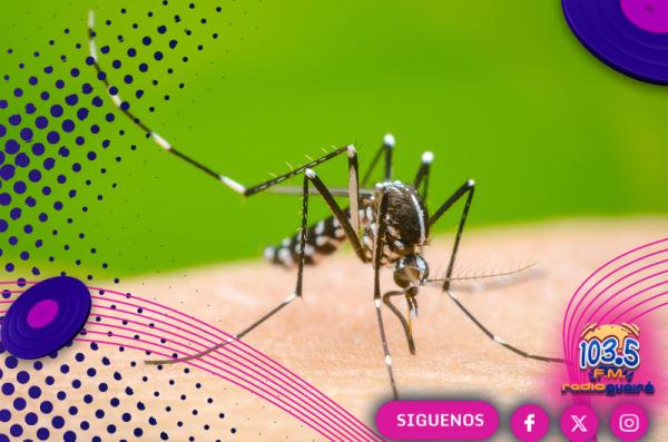 Salud Pública alerta por leve repunte de dengue y circulación de chikungunya