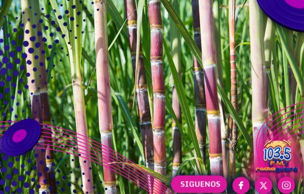 Zafra 2026 de caña de azúcar arranca con buenas perspectivas