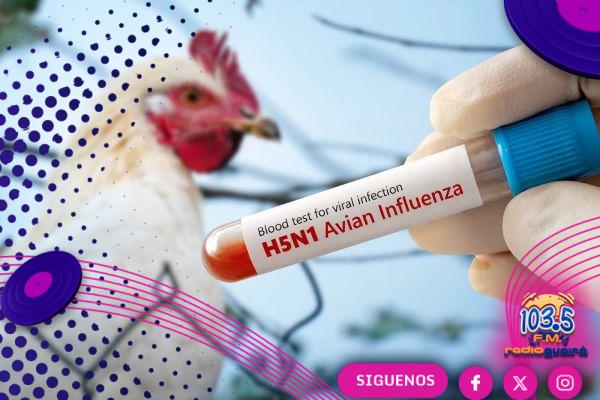 SENACSA en estado de vigilancia y alerta máxima por nuevos casos de gripe aviar en Argentina