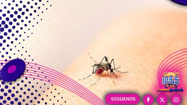 Instan a extremar cuidados tras confirmar dos casos de DEN-3 en Paraguay