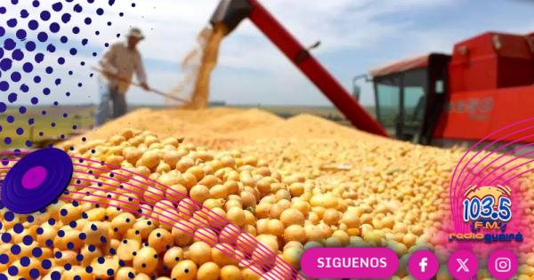 La soja marca récords y consolida su mapa productivo