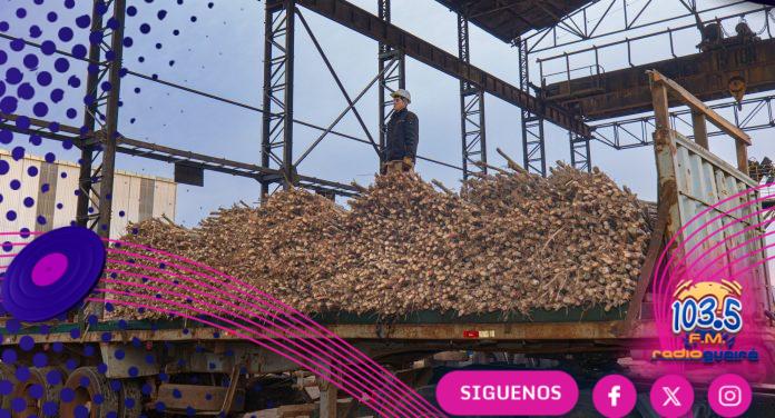 Petropar alcanza 60.000 toneladas de caña molida en el primer mes de la zafra