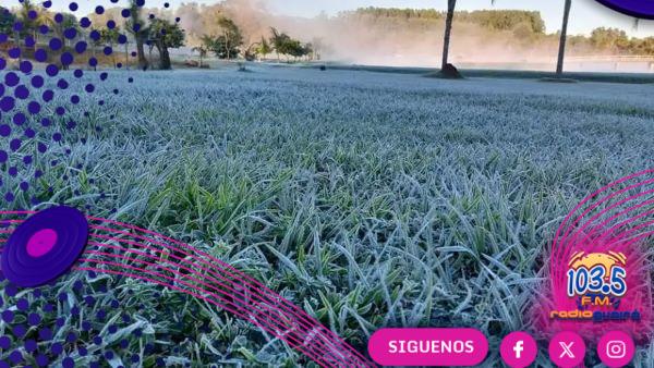 MAG alerta sobre posibles daños por heladas en cultivos