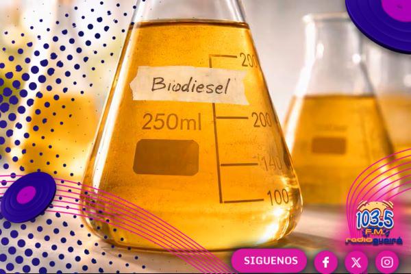 Gobierno reducirá la mezcla de biodiésel en el gasoil