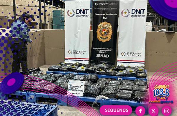 SENAD incauta 311 kilos de marihuana «premium»