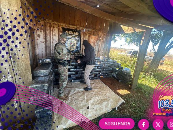 Senad incauta más de 735 kilos de marihuana en Alto Paraná